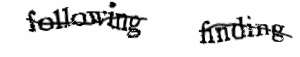 Text captcha reproducing the words 'following finding' distorted and crossed out